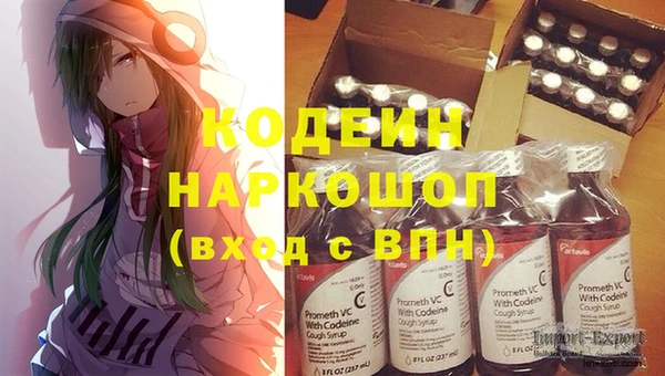 дмт Ладушкин