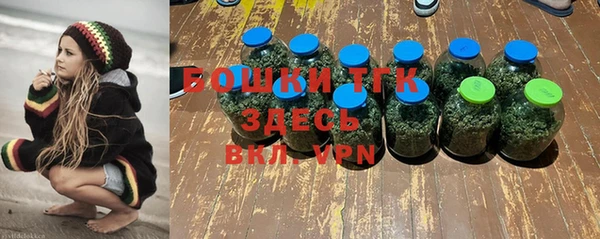 дмт Ладушкин