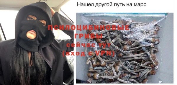 дмт Ладушкин