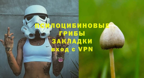 дмт Ладушкин