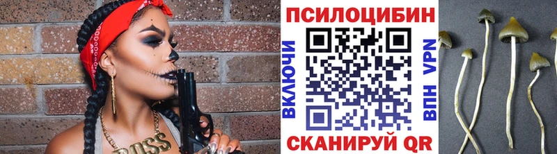 Псилоцибиновые грибы MAGIC MUSHROOMS  где можно купить наркотик  Лебедянь 